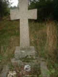 image of grave number 259036
